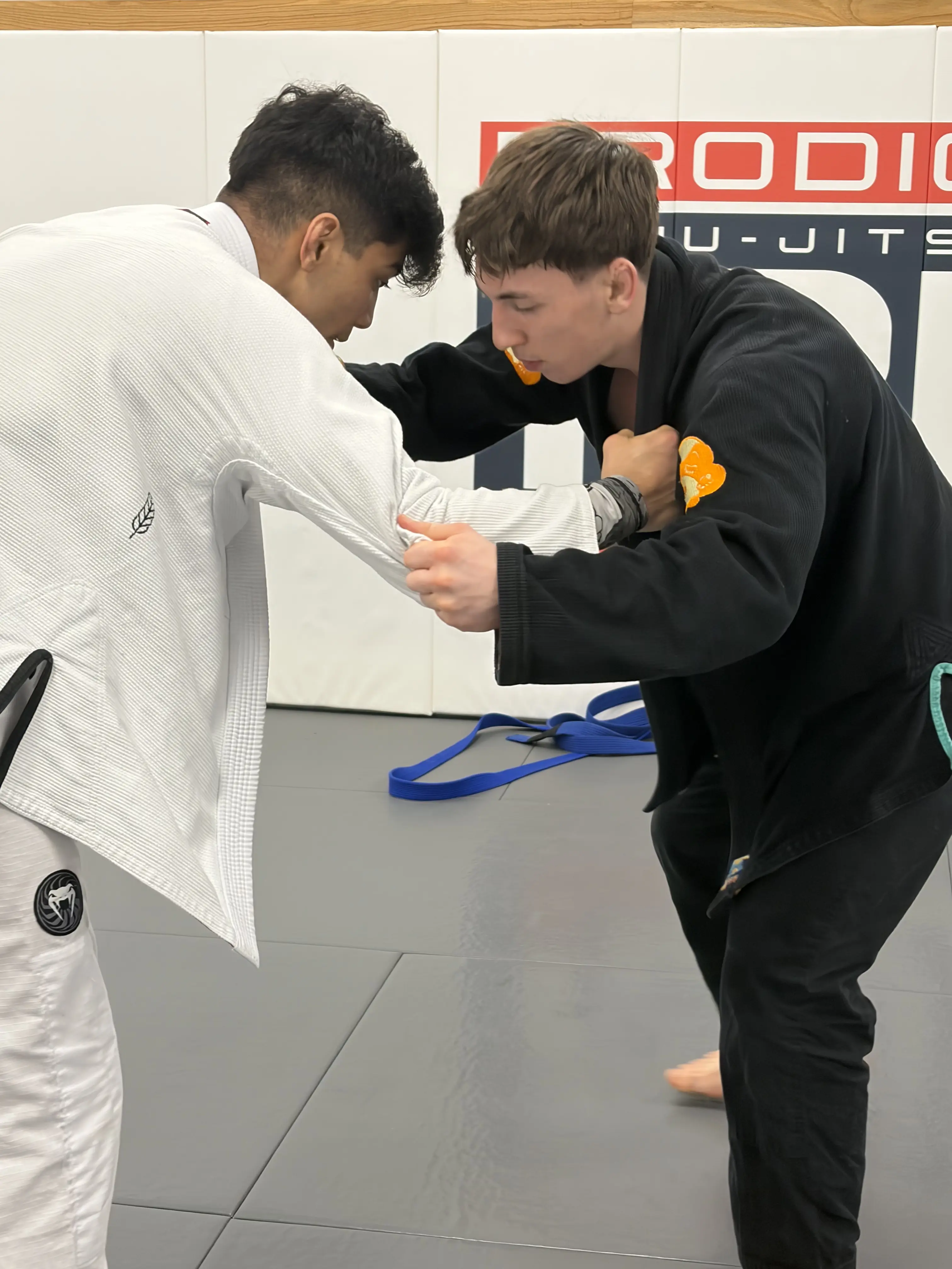 Adults training gi and no-gi Brazilian Jiu-Jitsu at Prodigy in Fogelsville, PA